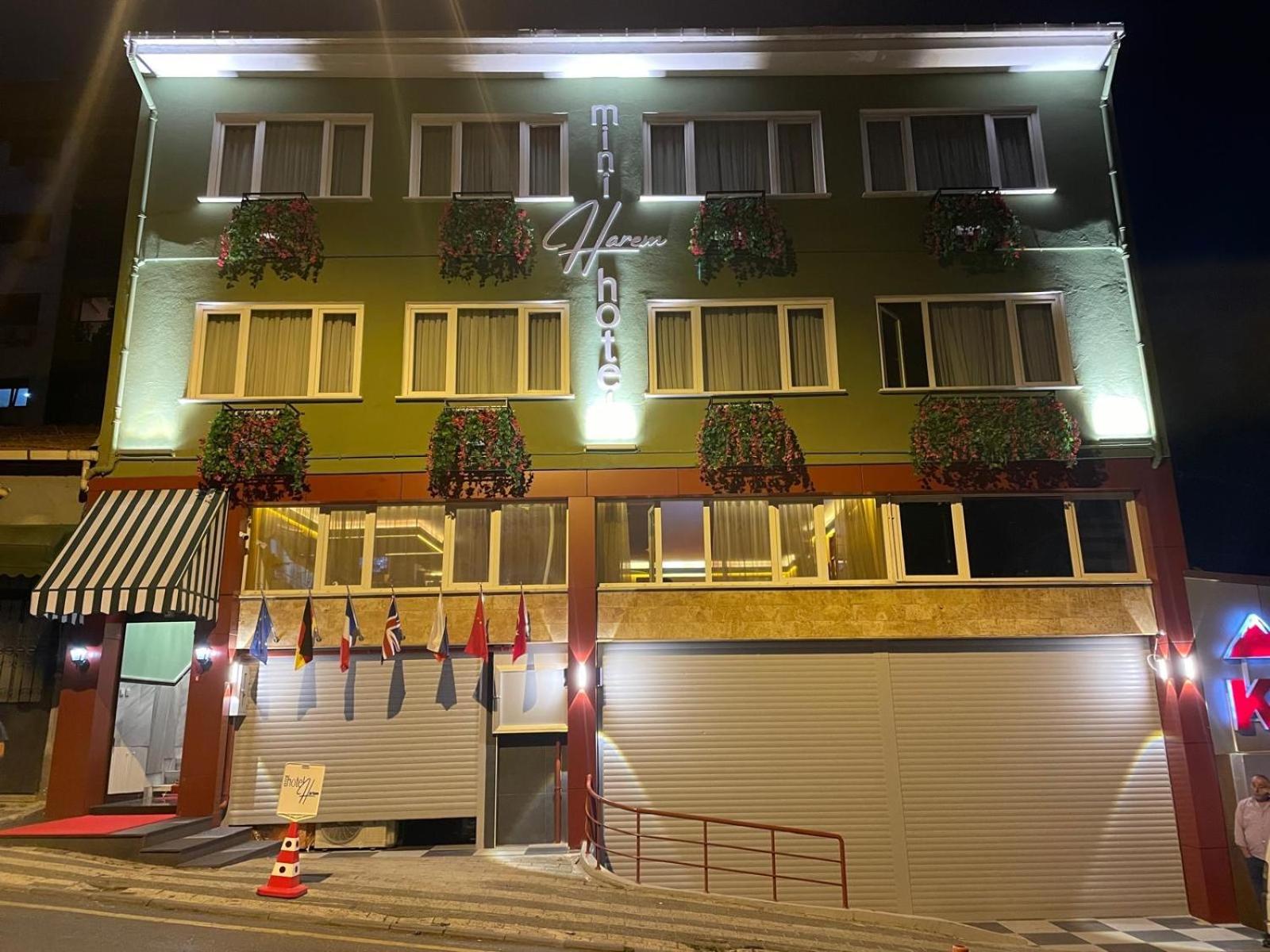 Mini Harem Hotel Istambul Extérieur photo